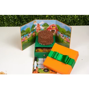Caixa Cenário Baby Farm Jogo da Velha